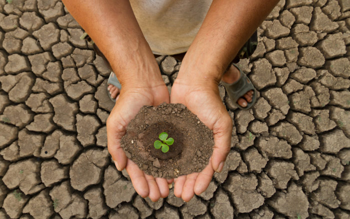 Online-Veranstaltung zum Klimawandel