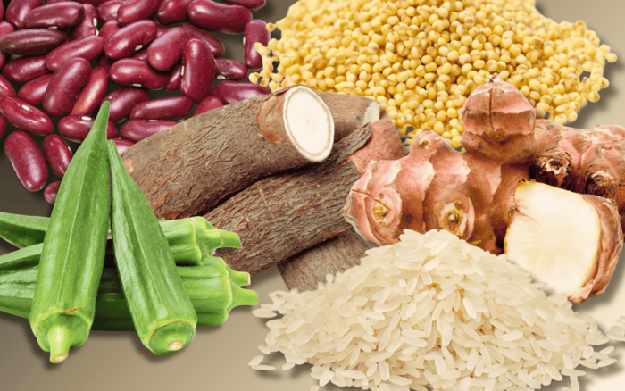 6 Wochen6Lebensmittel Headerbild humedica