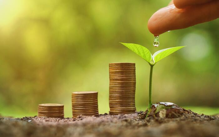 Drei der Größe nach aufsteigende Münzhaufen stehen auf der Erde, daneben ein grüner Keimling mit einem Finger darüber, von dem ein Wassertropfen fällt