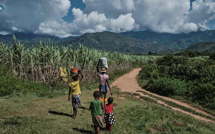 Eine Mutter und drei Kinder laufen in Richtung der Berge auf einem Weg umgeben von Büschen und einem Feld
