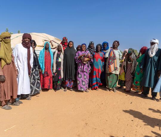 Eine Gruppe von Männern und Frauen im Niger steht im Halbkreis und schaut in die Kamera
