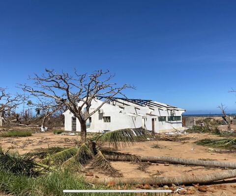 Zerstörte Häuser und Palmen in Mosambik