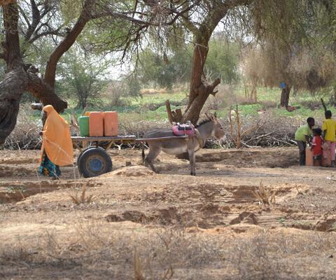 Personen in ländlicher Umgebung