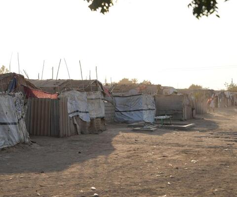 Provisorische Behausungen aus Wellblech und Planen