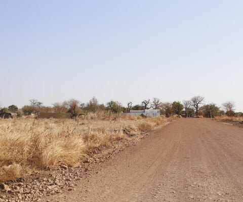 Rechts ein sandiger Weg und links trockene Gräser. Im Hintergrund befinden sich trockene Bäume und kleine Häuschen.