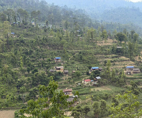 Grüne Hügel und Terrassen mit Häusern in Nepal