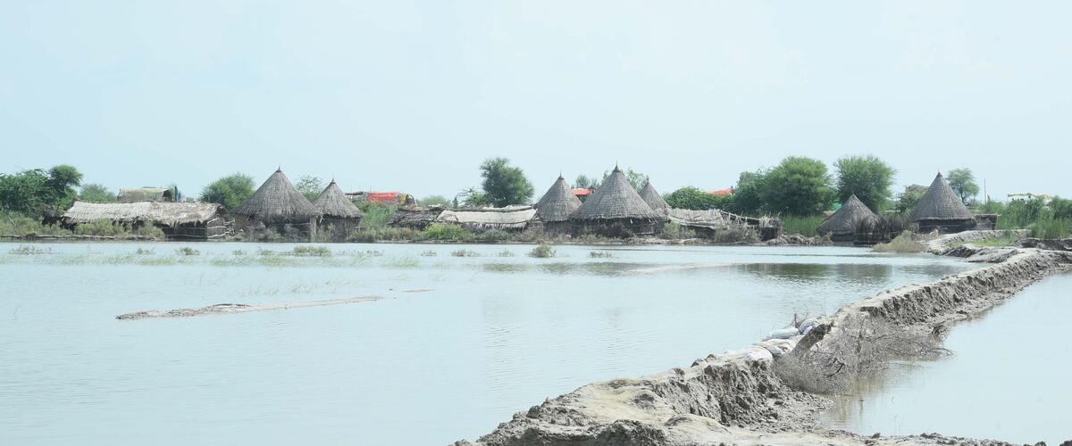 Überflutete Felder in Pakistan nach Überschwemmung 2022