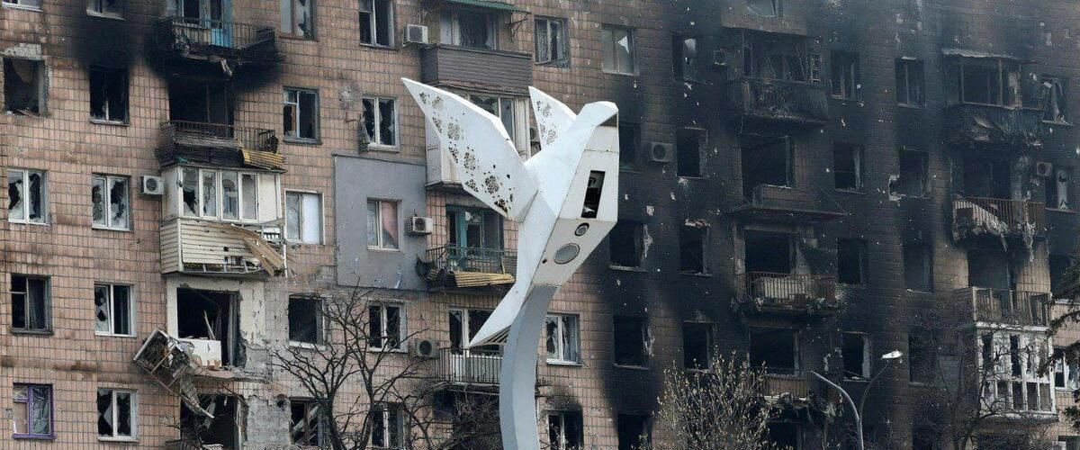 Taube vor zerstörtem Haus in der Ukraine