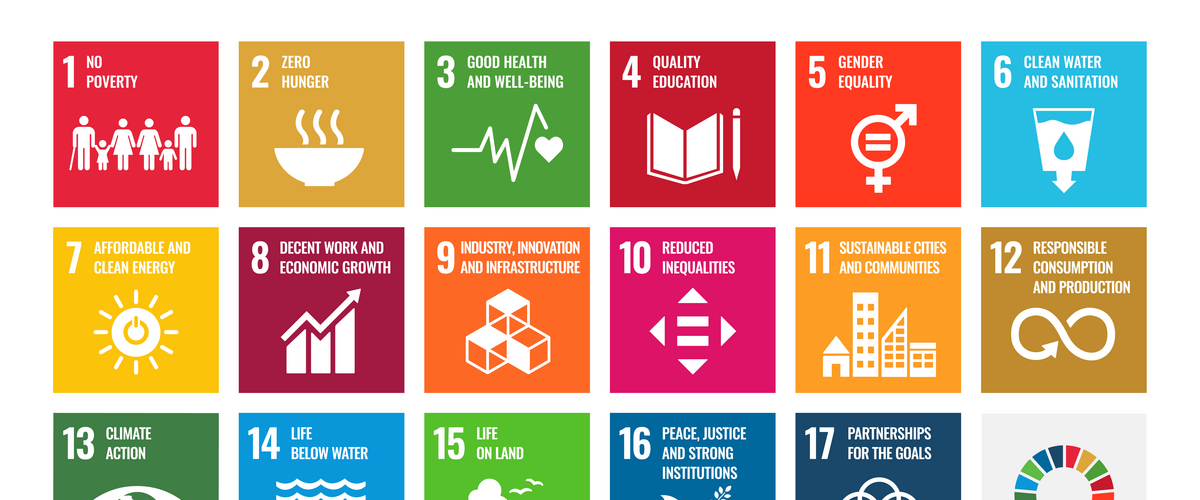 United Nations Sustainable Development Goals Overview