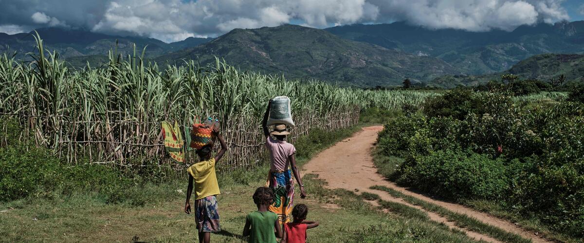 Eine Mutter und drei Kinder laufen in Richtung der Berge auf einem Weg umgeben von Büschen und einem Feld