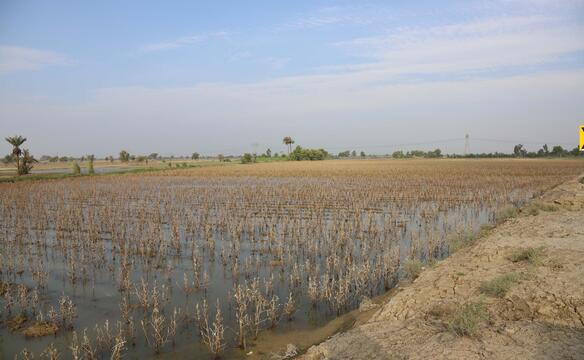 Feld steht unter Wasser in Pakistan